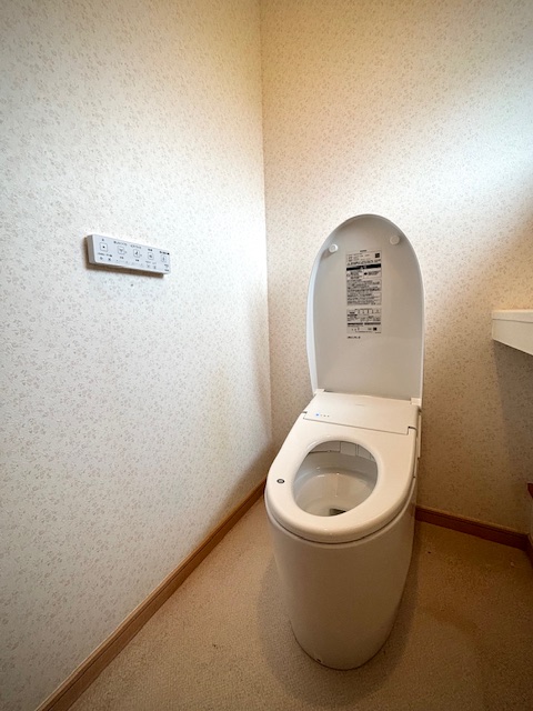 秦野市　一体便器取替　【既存便器の取替】